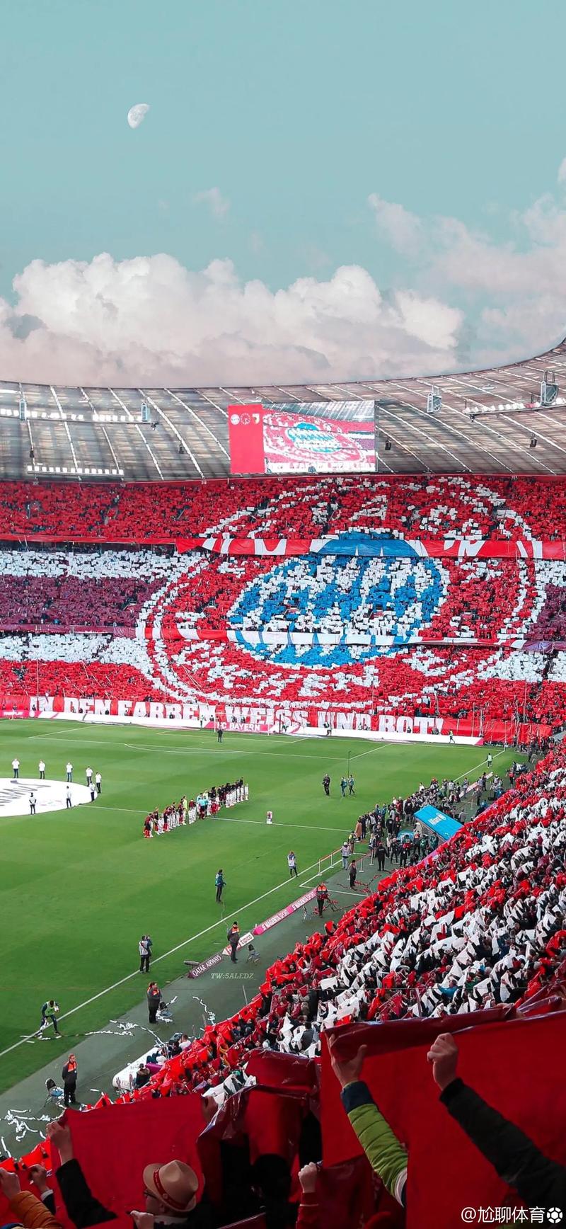 篮球CBA球队完成新赛季阵容搭建